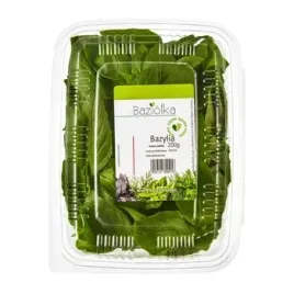 bazylia-cieta-baziolka-200g