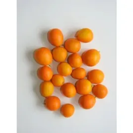 kumquat-250g