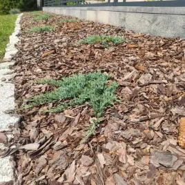 kora-sosnowa-ogrodowa-worek-80l