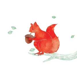 karnet-swarovski-kwadrat-cl2615-wiewiorka