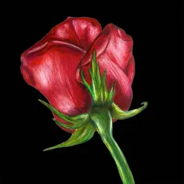 karnet-z-koperta-sb11-czerwona-roza