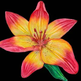 karnet-z-koperta-sb12-lilia