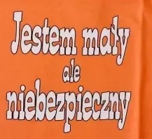 koszulka-jestem-maly-ale-niebezpieczny-r-122