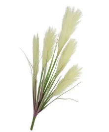 trawa-pampasowa-93-cm-bukiet