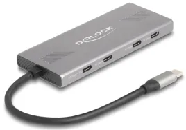 delock-64313-huby-i-koncentratory-usb-3-2-gen-2-3-1-gen-2-type-c-10000