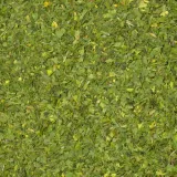 natka-pietruszki-100g-stan-nowy