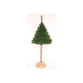 choinka-na-pniu-sosna-himalajska-190cm-polska-produkcja
