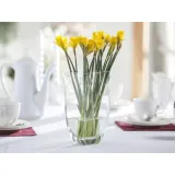 wazon-bogusia-120x90-22cm-kolor-przezroczysty-stan-nowy