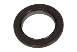 victor-reinz-simering-walu-citroen-c4-20hdi-09-