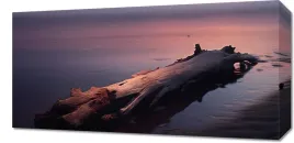 obraz-60x30cm-w-oczekiwaniu-na-koniec