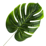 lisc-dekoracyjny-duzy-53cm