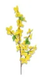 forsycja-galazka-pojedyncza-h-52cm