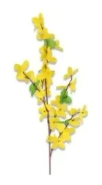 forsycja-galazka-pojedyncza-h-52cm