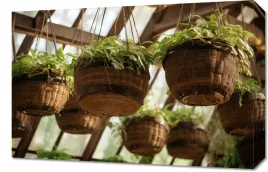 obraz-60x40cm-prywatne-wiszace-ogrody