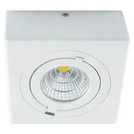 oczko-lampa-natynkowa-igor-led-9w-4000k-03128-ideus-metalowa-oprawa-sufitow
