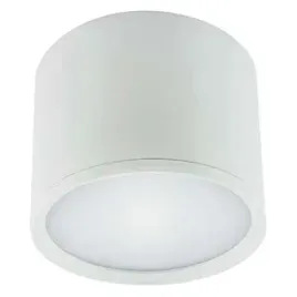 natynkowa-lampa-sufitowa-rolen-led-3w-4000k-03107-ideus-okragla-oprawa-meta