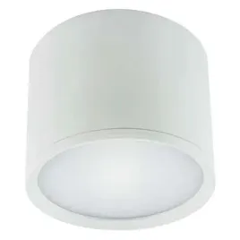 natynkowa-lampa-sufitowa-rolen-led-10w-4000k-03109-ideus-okragla-oprawa-met