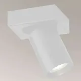 sufitowa-lampa-spot-tarumi-7971-shilo-metalowa-oprawa-okragla-industrialna