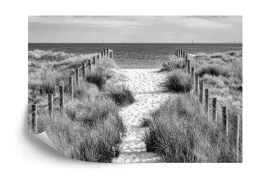 fototapeta-chodzmy-na-plaze-black-andamp-white-400x280-flizelina-zmywalna