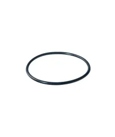 filtry-dafi-uszczelka-o-ring-przeplywowego-filtra-do-wody-dafi-84x4-mm