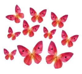 motyle-waflowe-rozowe-10-szt
