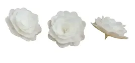 roza-waflowa-chinska-duza-biala-7-cm-4szt