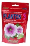 planton-s-surfinii-200g