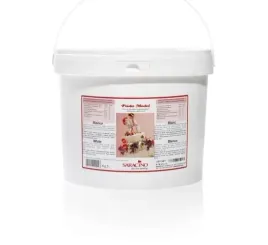 masa-do-modelowania-biala-5kg-saracino