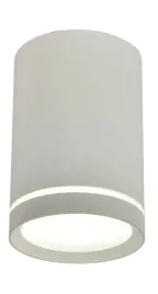sufitowa-lampa-spot-tuba-2277134-metalowa-plafon-tuba-downlight-szary