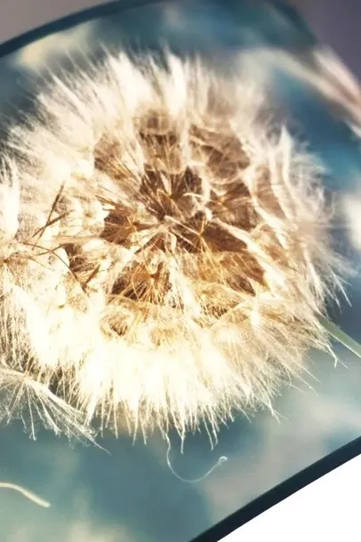 lampa-wiszaca-dandelion