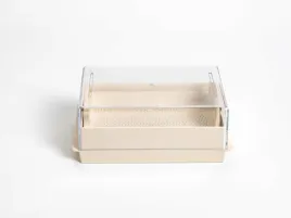 naczynie-do-kielkowania-prostokatne-urbalive