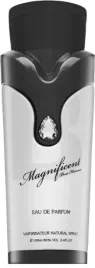 armaf-magnificent-pour-homme-edp-100ml