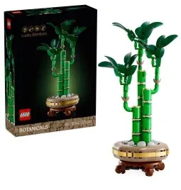 lego-r-botanicals-10344-dracena-sandera