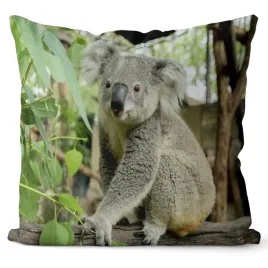 poszewka-3d-bawelna-satyna-40x40cm-mis-koala