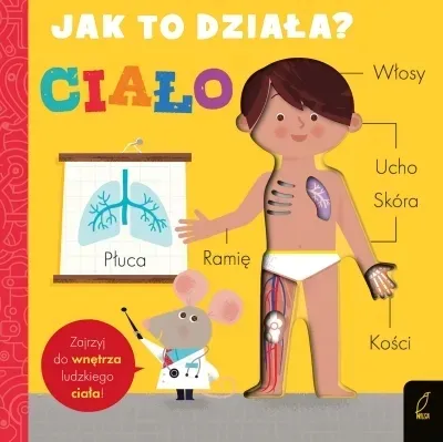 jak-to-dziala-cialo