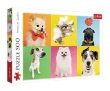 puzzle-500-trefl-psy-37378
