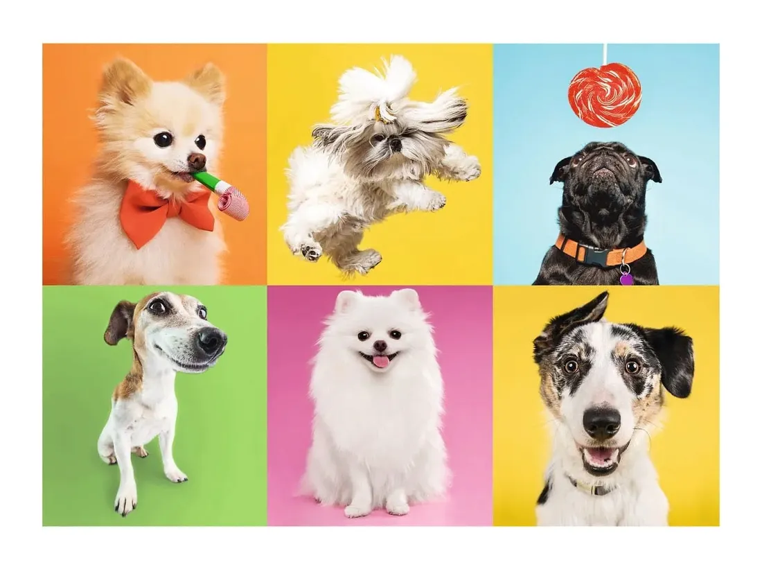 puzzle-500-trefl-psy-37378-stan-nowy