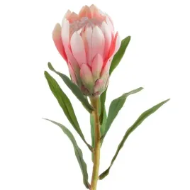 kwiat-sztuczny-protea-rozowa-x12