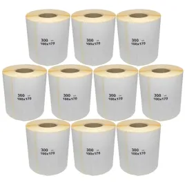 etykiety-termiczne-na-roli-100x170mm-300szt-x10szt