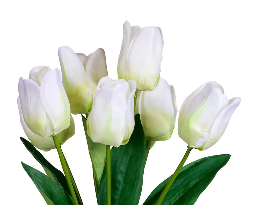 tulipany-bukiet-kremowy