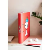 snoopy-segregator-2-ringi-stan-nowy