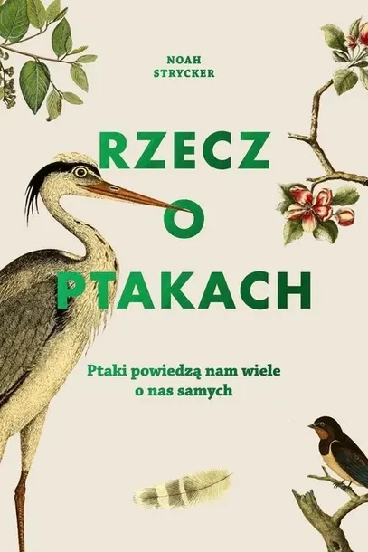 rzecz-o-ptakach