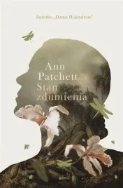 stan-zdumienia