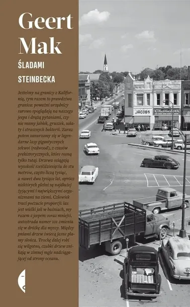 sladami-steinbecka