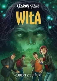 czarny-staw-wila