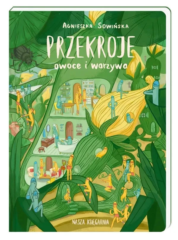 przekroje-owoce-i-warzywa