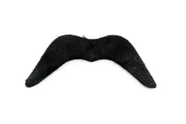 brodka-i-wasy-pirata-pirat-pirackie-piraci