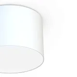 sufitowa-lampa-klasyczna-cameron-9684-nowodvorski-okragly-plafon-bialy