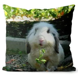 poszewka-3d-bawelna-satyna-40x40cm-krolik-baranek-mini-lop