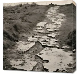 obraz-60x60cm-szlak-pamieci-miedzy-wydmami